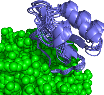 Toward high-resolution homology modeling of antibody Fv regions and application to antibody-antigen docking