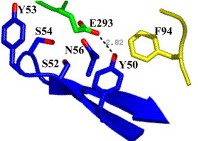 High-resolution protein-protein docking
