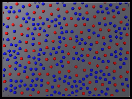 Adsorption of colloidal particles by Brownian dynamics simulation: kinetics and surface structures